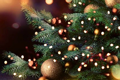 Christmas & New Year's Day Holiday Closures