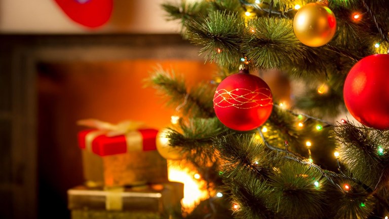Christmas Tree Lighting