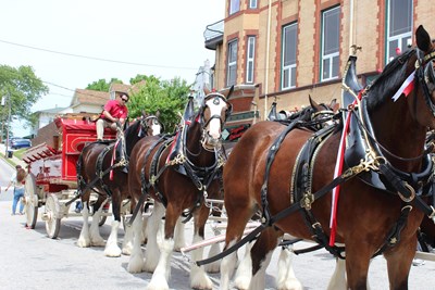 Parking and Traffic Advisory for Budweiser Clydesdales on Friday, April 7