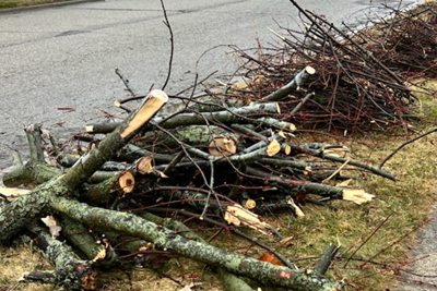 Public Services to collect fallen tree branches and storm-related debris tomorrow (June 21) from 7 a.m. to noon